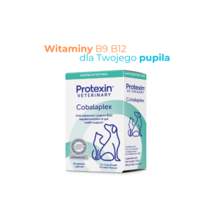 Cobalaplex – Witaminy B9, B12, prebiotyk dla psów i kotów | 60 kapsułek