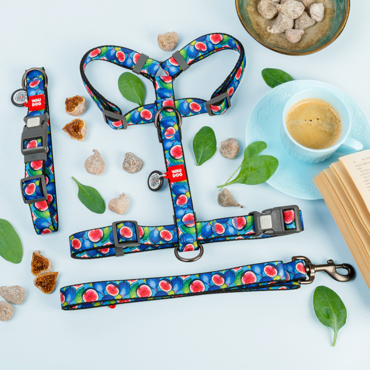 Obroża dla Psa - WAUDOG