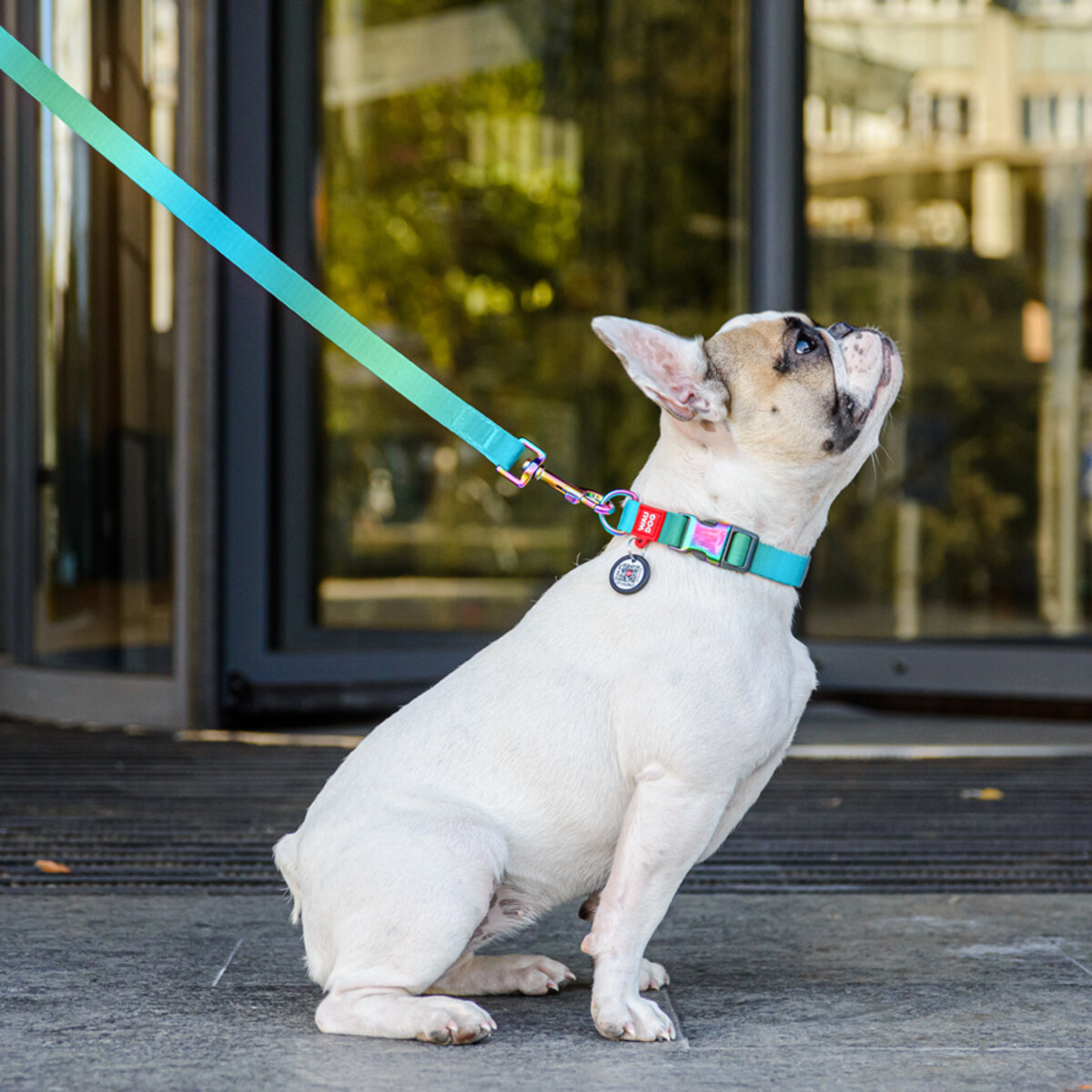 Smycz dla Psa - WAUDOG | Gradient - obrazek 8