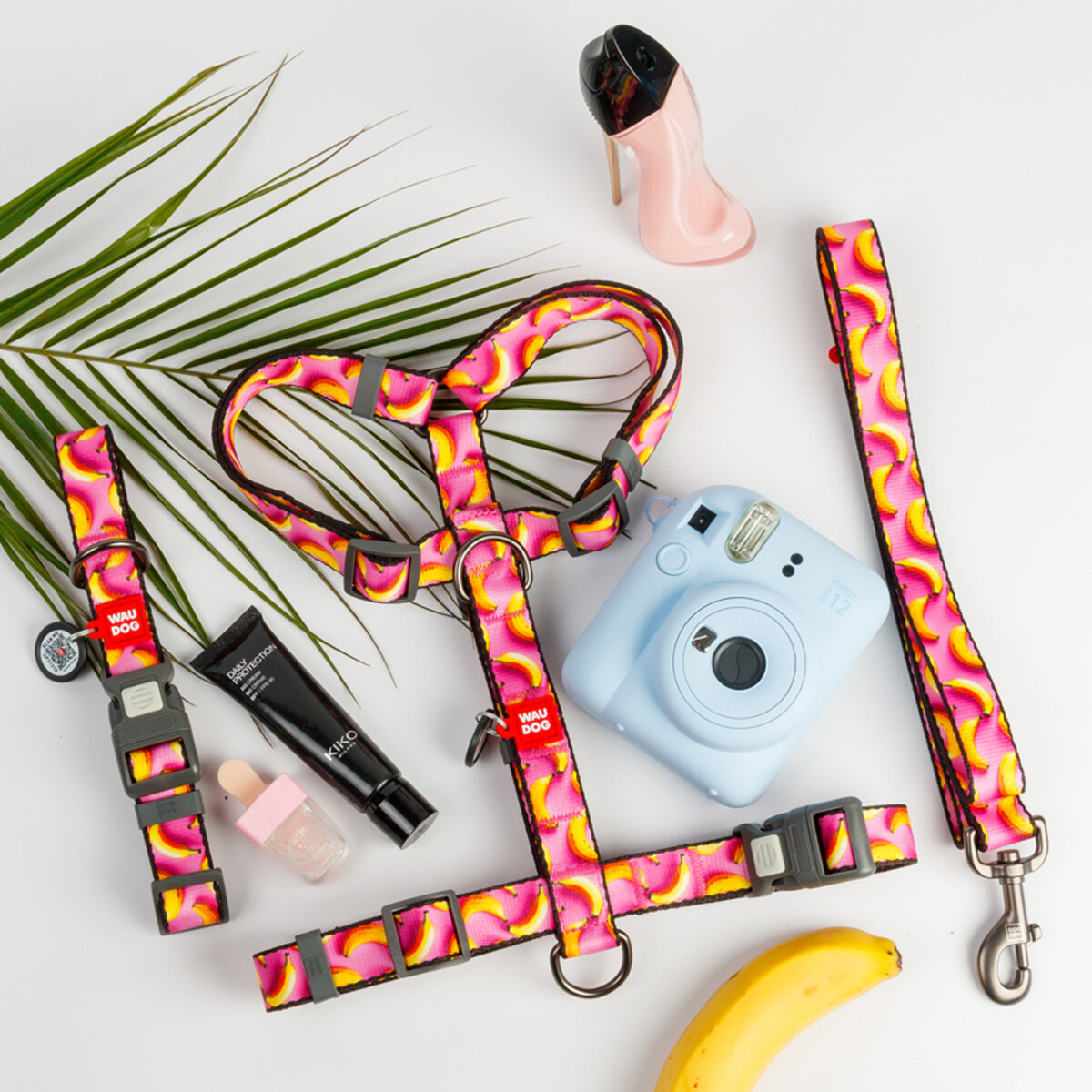 Obroża dla Psa - WAUDOG