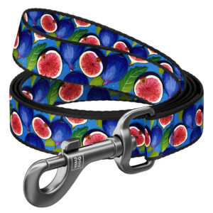 Smycz dla Psa - WAUDOG