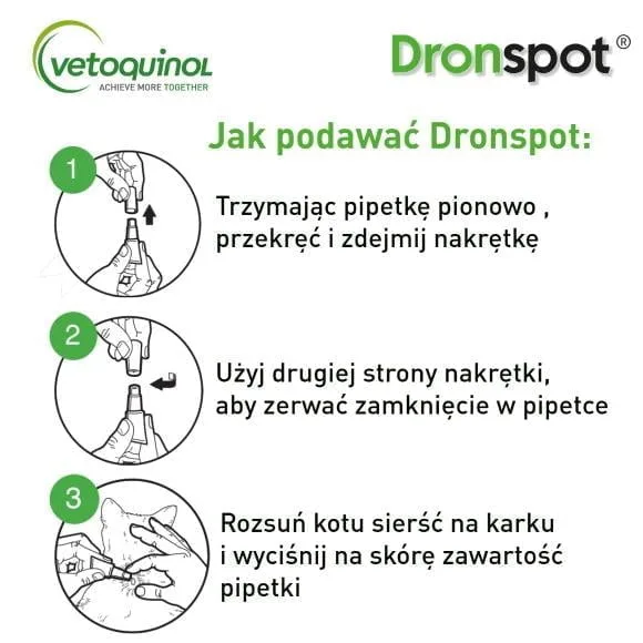 dronspot-1