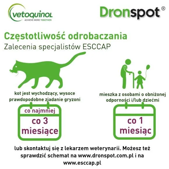 dronspot-2