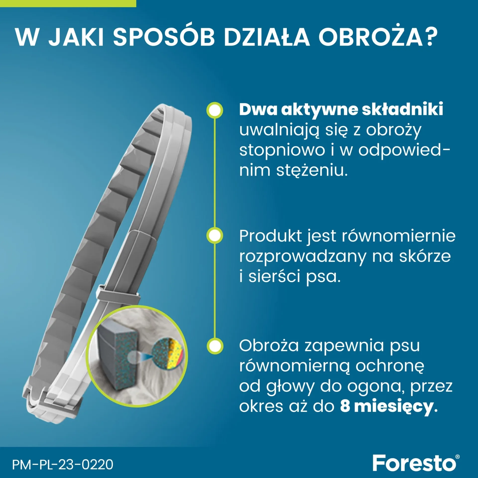 FORESTO - Obroża na pchły i kleszcze dla kotów i psów poniżej 8 kg - obrazek 3