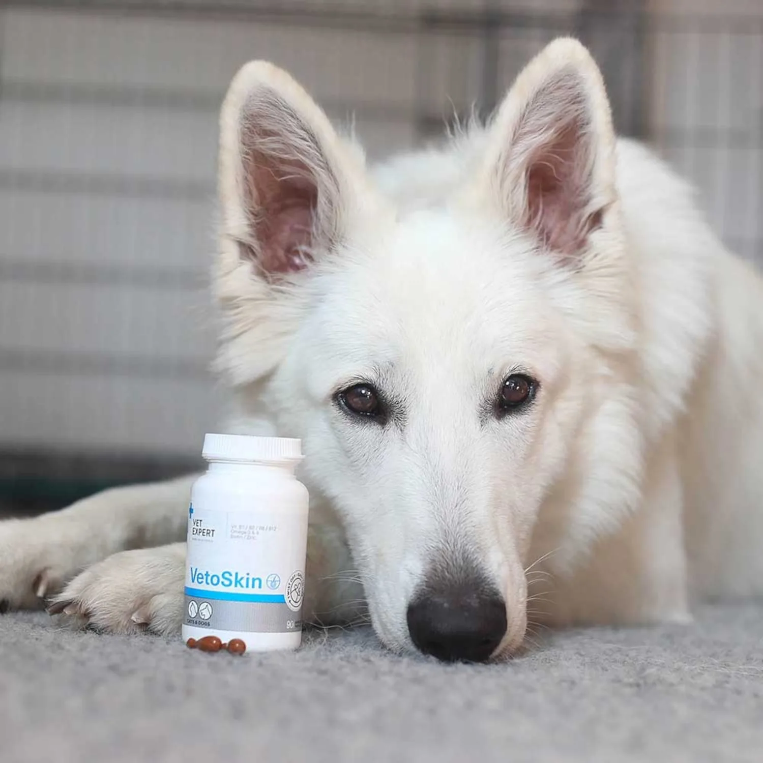 VET EXPERT Vetoskin 60 kapsułek - Preparat na skórę i sierść dla psów i kotów - obrazek 3